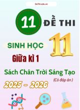 Tuyển tập 11 Đề thi giữa kì 1 năm học 2025-2026 môn Sinh học 11 CTST (Kèm đáp án)